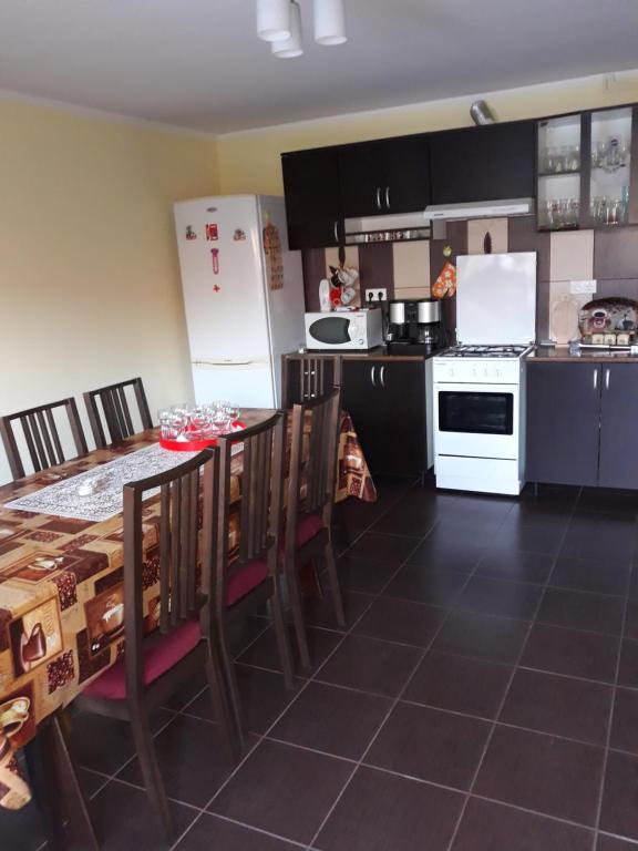 Kuchyň nebo kuchyňský kout v ubytování Casa Monika Ciocarliei