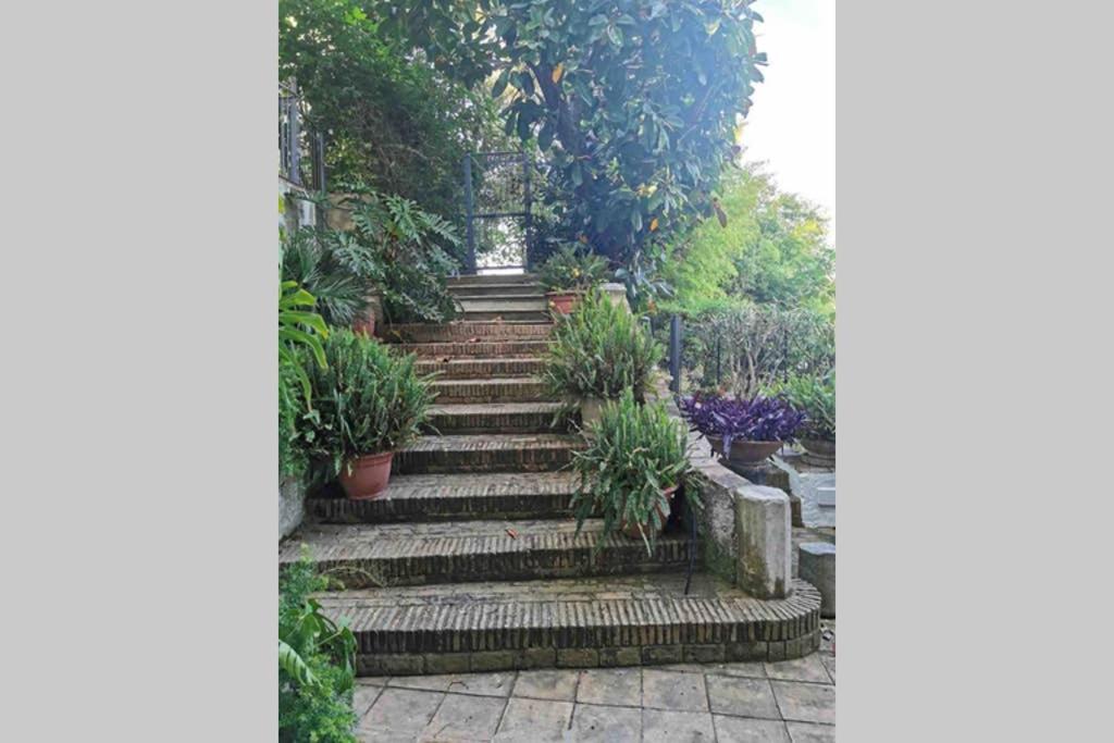 A garden outside OASI DI PACE A GAETA