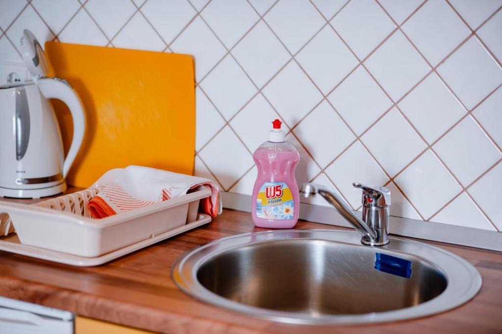 Kuchyň nebo kuchyňský kout v ubytování Apartmens Leona