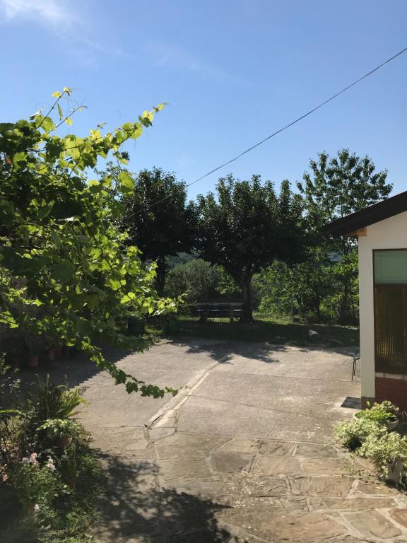 Zahrada ubytování Apartment Nona Ervina