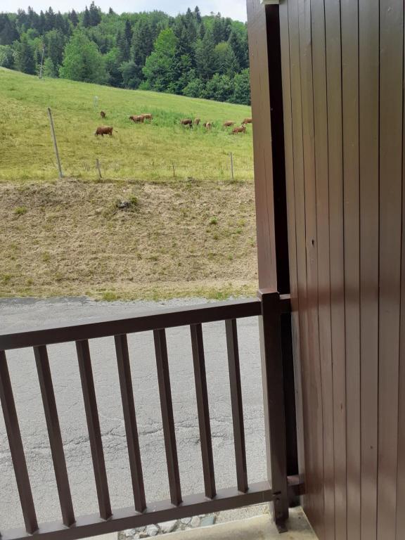 una vista de un pasto con vacas en un campo en Le rossane, en Aillon-le-Jeune