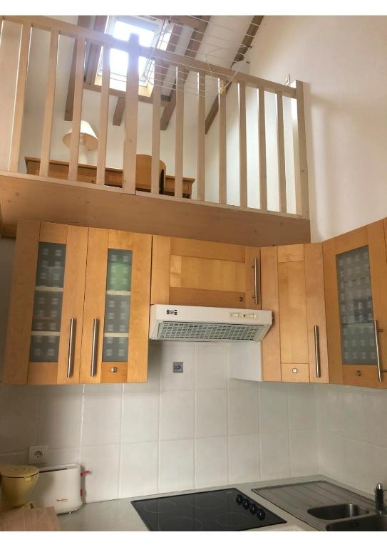 Kuchyň nebo kuchyňský kout v ubytování Hôtel & Appart-hôtel Olatua