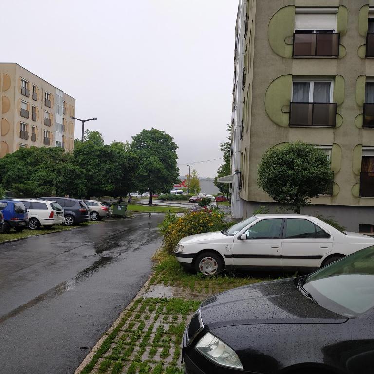 Okolica w pobliżu tego apartamentu