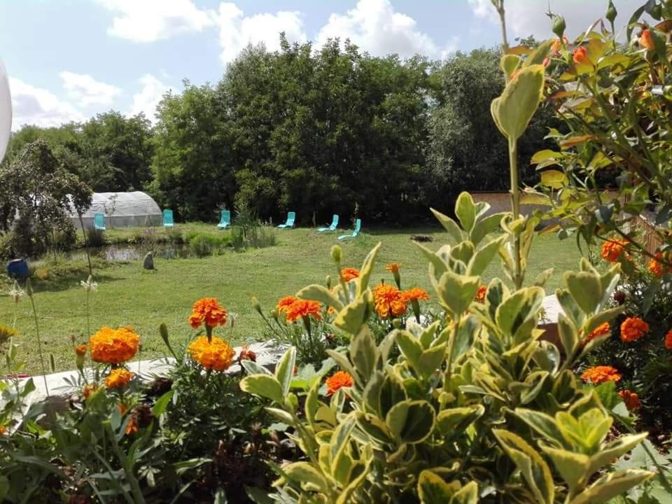 Pensiunea Casa Murani - Housity