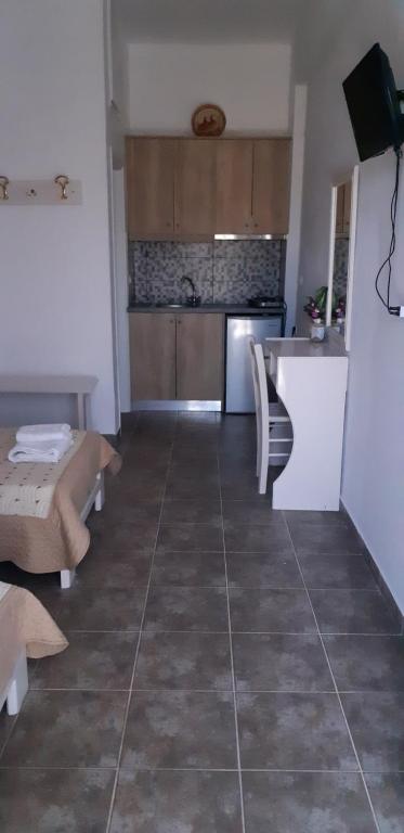 Kuchyň nebo kuchyňský kout v ubytování Antonia Rooms