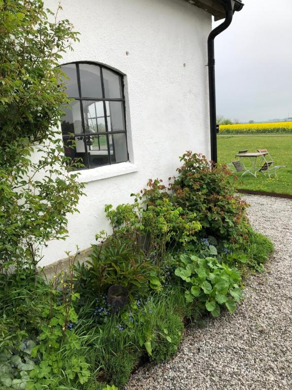 a white building with a window and some plants at Rävåkra Bed & Breakfast in Hammenhög