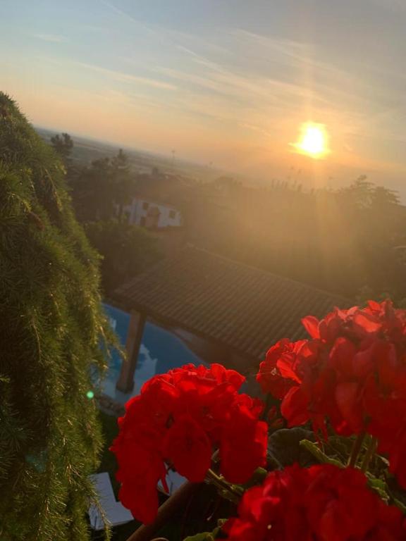 SPINETO HOUSE - Queen Room With Pool View