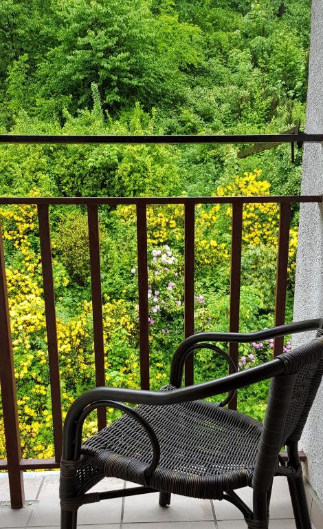 Balkón alebo terasa v ubytovaní Apartament Międzygórze