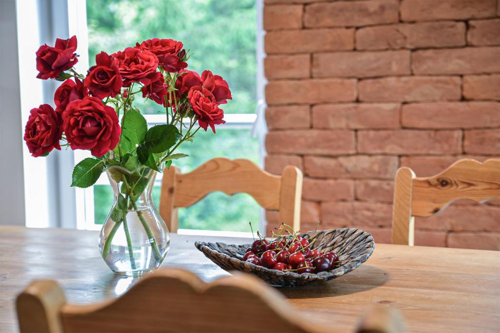 Fotografie z fotogalerie ubytování Terrace Apartments v destinaci Eger