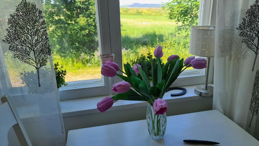 Zahrada ubytování Symaskinshuset Järvsö