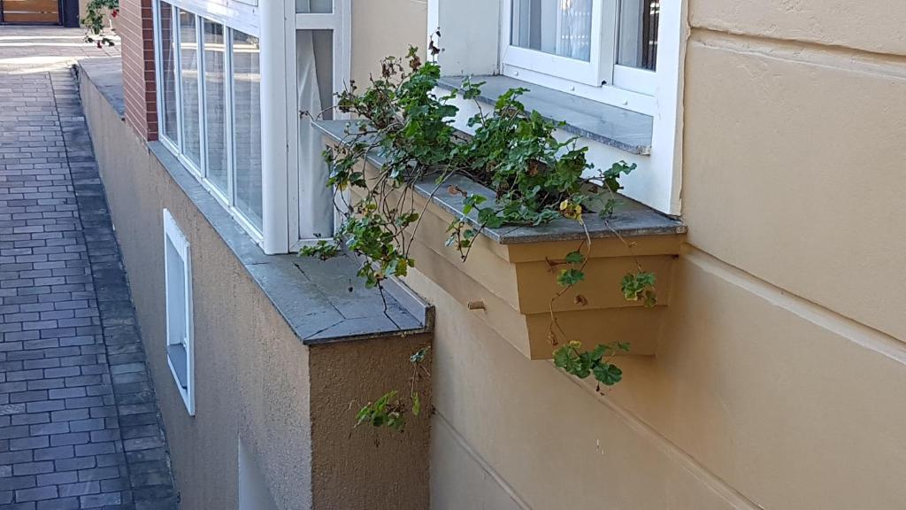  Gramado Garden Centro