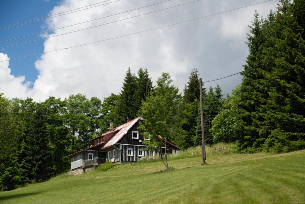 ein Haus auf einem Hügel mit Bäumen in der Unterkunft Korenov 1256 in Kořenov