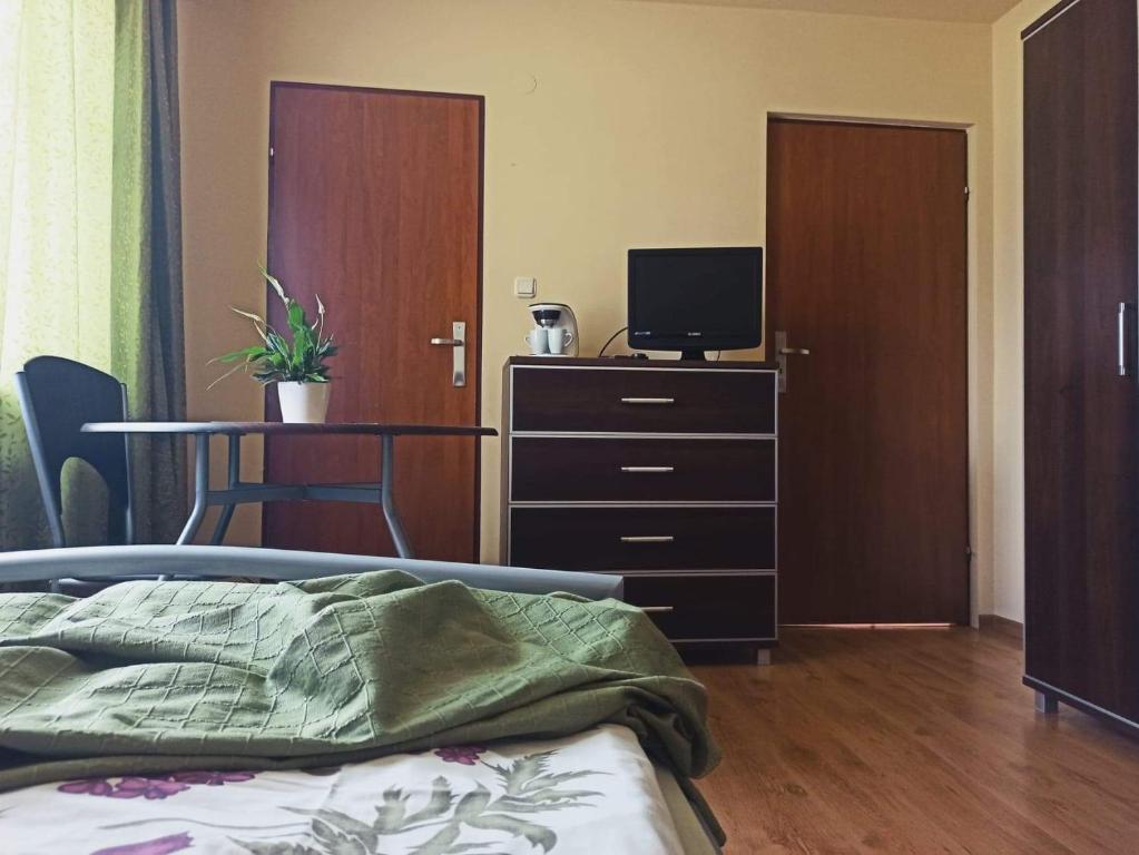 een slaapkamer met een bed en een bureau met een televisie bij Przylesie in Uniejow