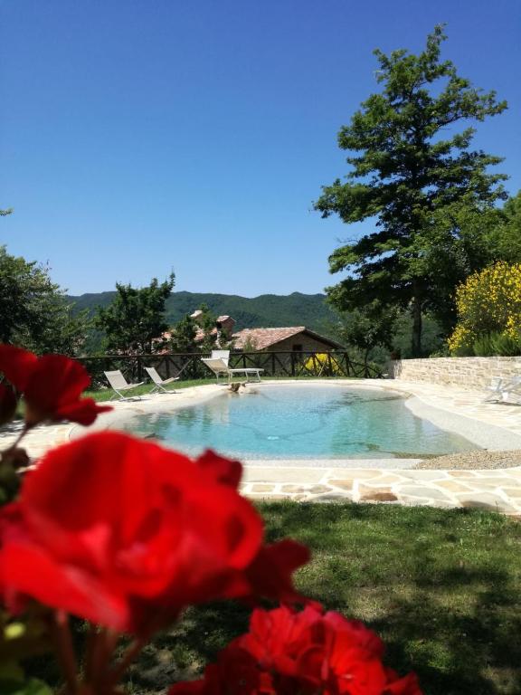 Bazén v ubytování Frigino Agriturismo nebo v jeho okolí