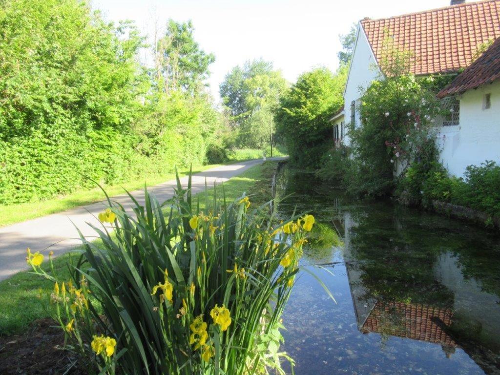 staw wodny z żółtymi kwiatami obok domu w obiekcie 6 Grenouillère w mieście La Madelaine-sous-Montreuil