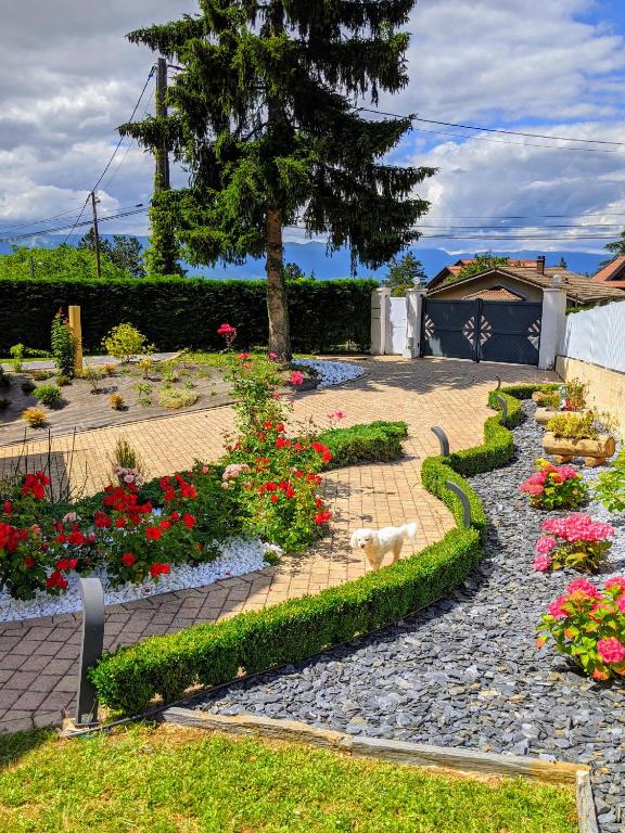 un jardin avec des fleurs et un chat sur un chemin dans l'établissement Chalet de TARA - Grand appartement esprit chalet - piscine chauffée - Genève, à Collonges-sous-Salève