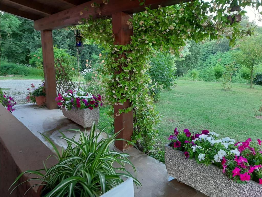 Zahrada ubytování B&B Cascina Ciapilau