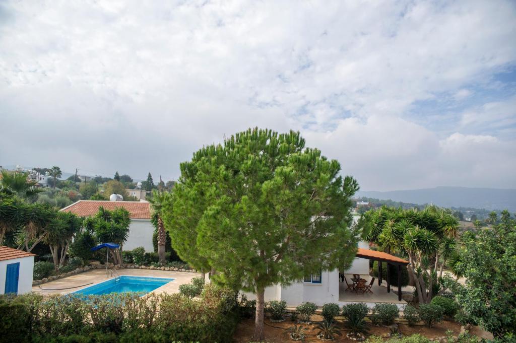 a villa with a swimming pool and a tree at Akamas Edge Villas in Polis Chrysochous