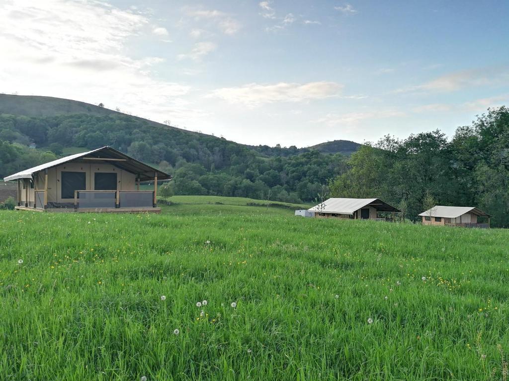 una casa in un campo di erba verde di Borda Lodge a Jaxu