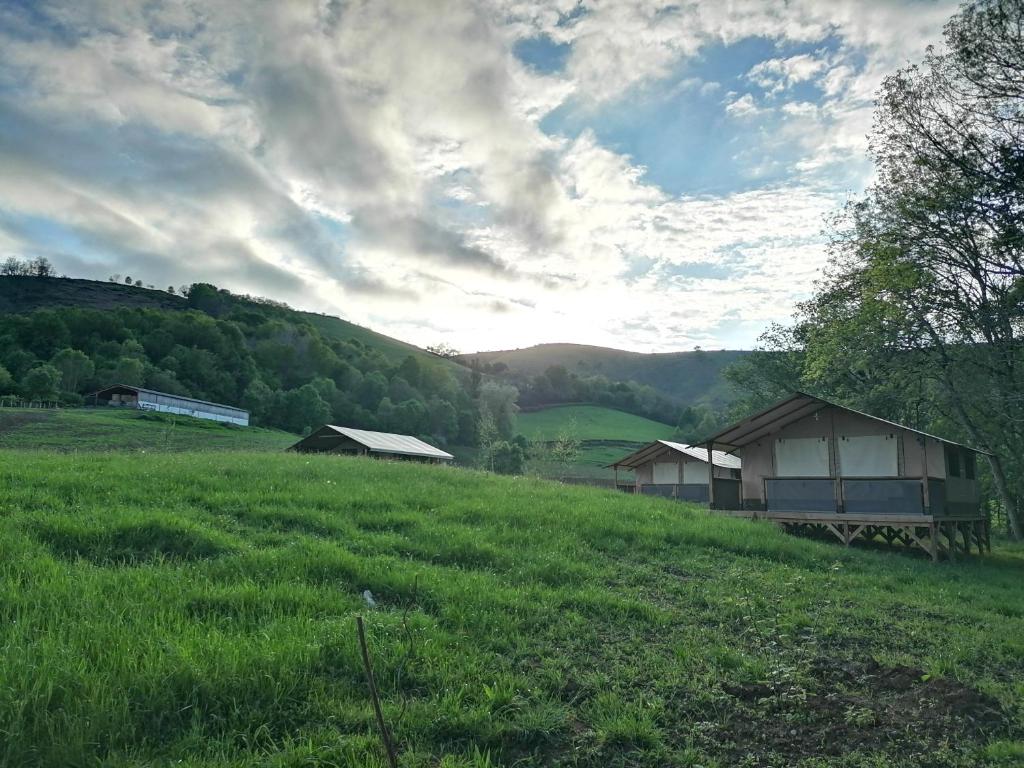 Příroda nedaleko chaty