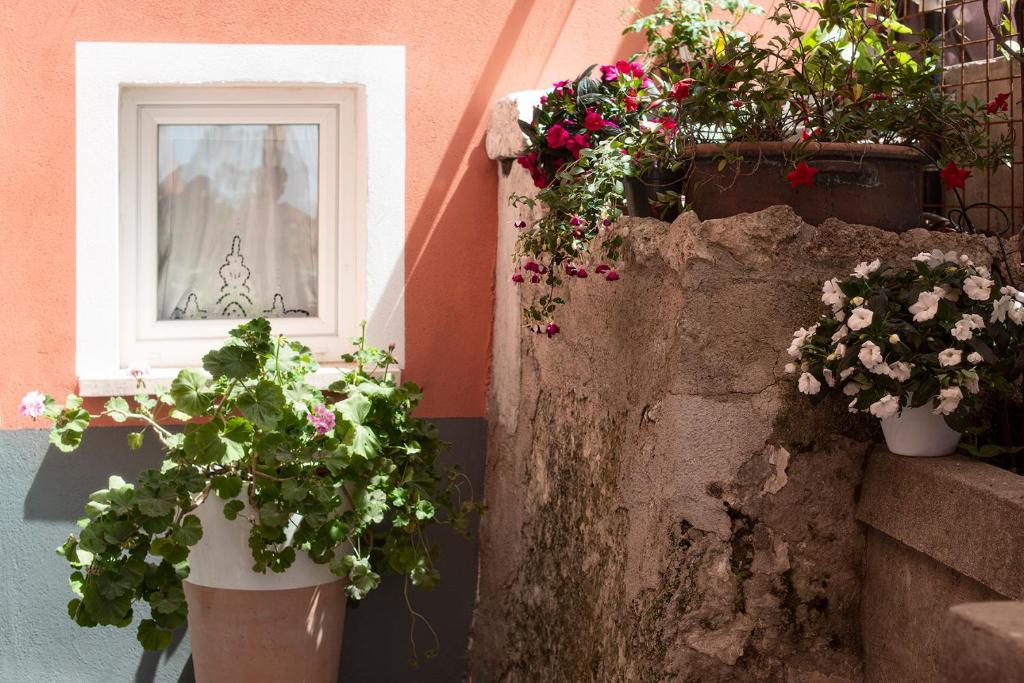 Zahrada ubytování Giu al Mulino