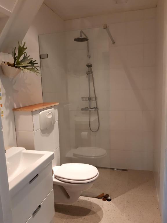 B&B Appartement De Winkeljuffer - One-Bedroom Apartment