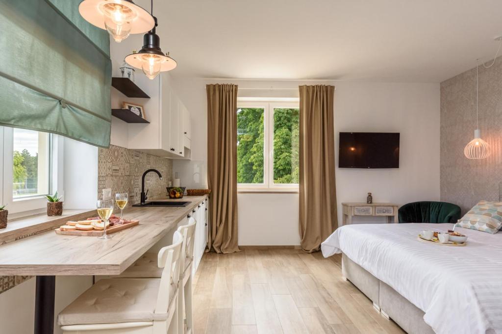 a kitchen and a bedroom with a bed and a table at Apartments Pausa in Žminj