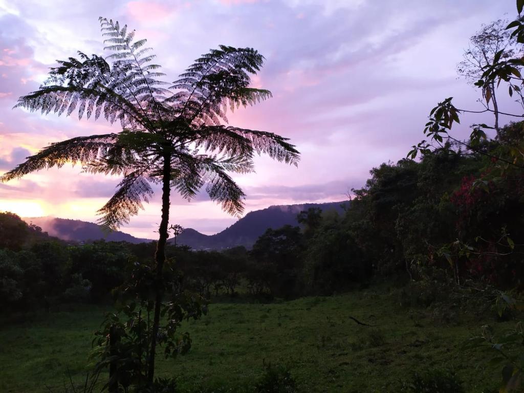 Mindo Eco Chalet con Rio y Cascada - Three-Bedroom House