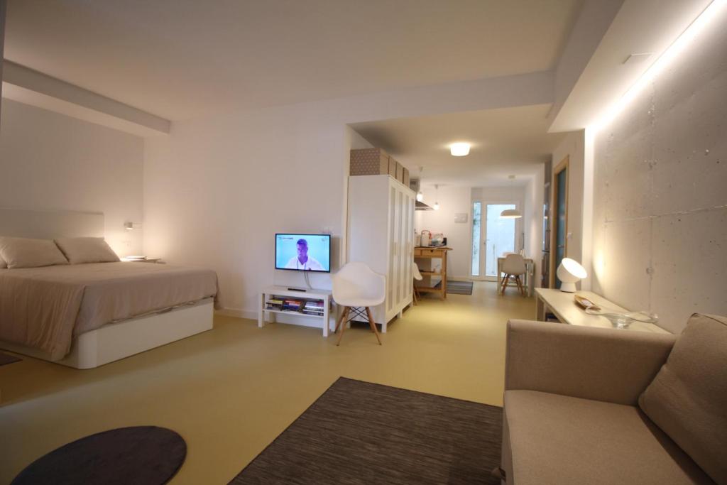 1 dormitorio con 1 cama, TV y sofá en Apartamento Tipo Loft en Somo
