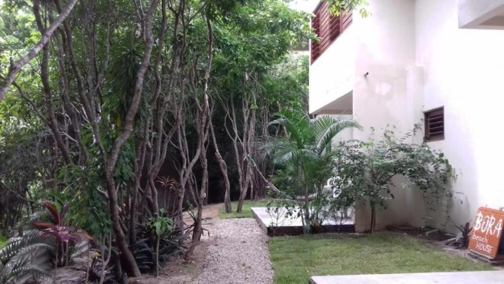  Bora Beach House