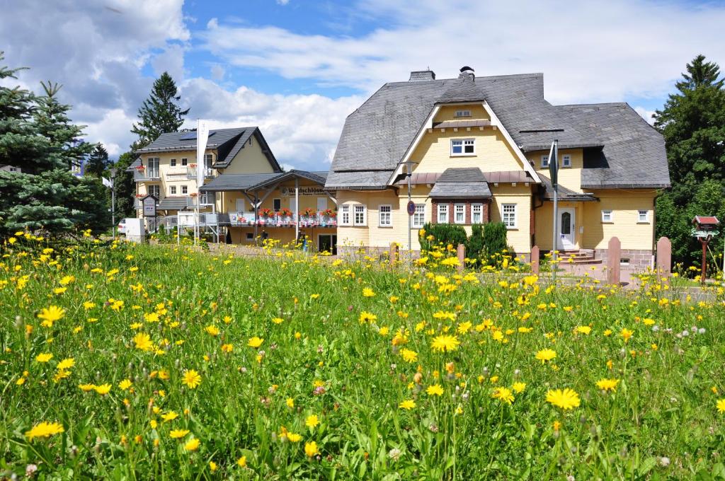ein Feld gelber Blumen vor einem Haus in der Unterkunft Pension Waldschloesschen in Oberhof