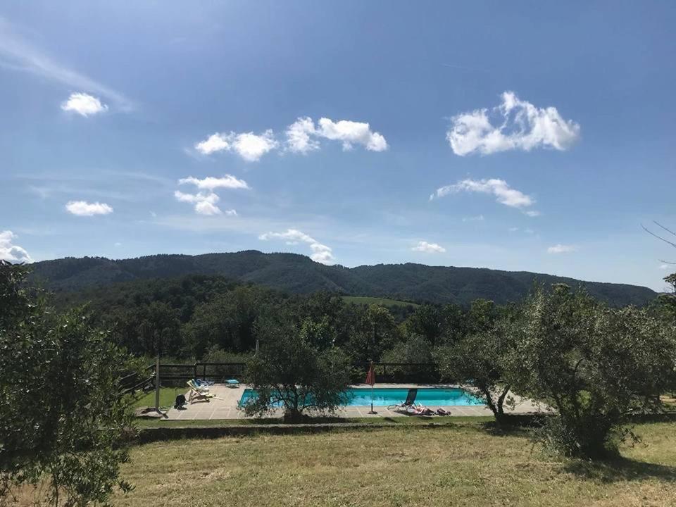 una piscina con árboles y montañas en el fondo en Podere le Muricce, en Cavriglia