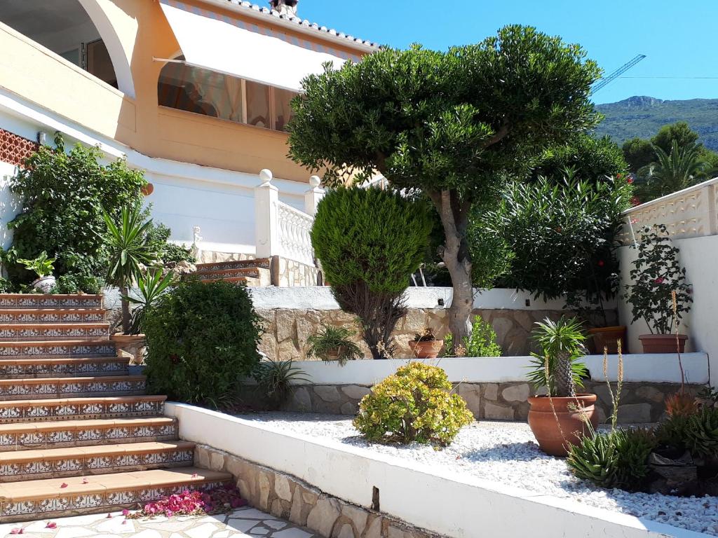Zahrada ubytování Villa Denia