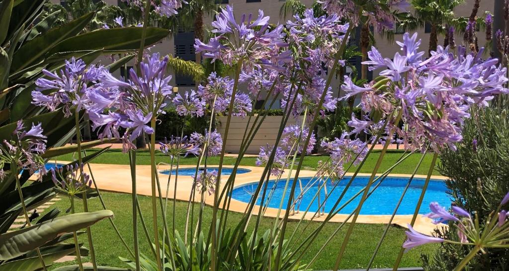 um jardim com flores roxas ao lado de uma piscina em Apartment De Jardines em Denia