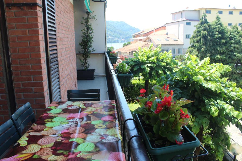 Výhľad na hory alebo výhľad na hory priamo z apartmánu