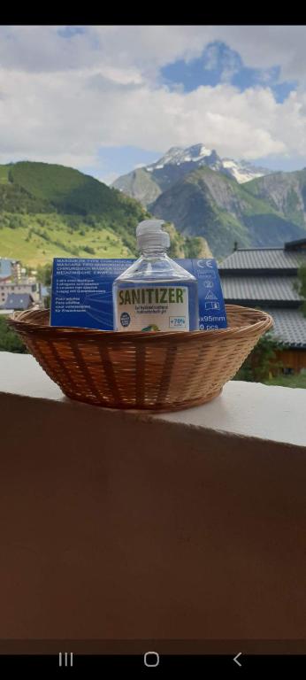 Příroda nedaleko apartmánu