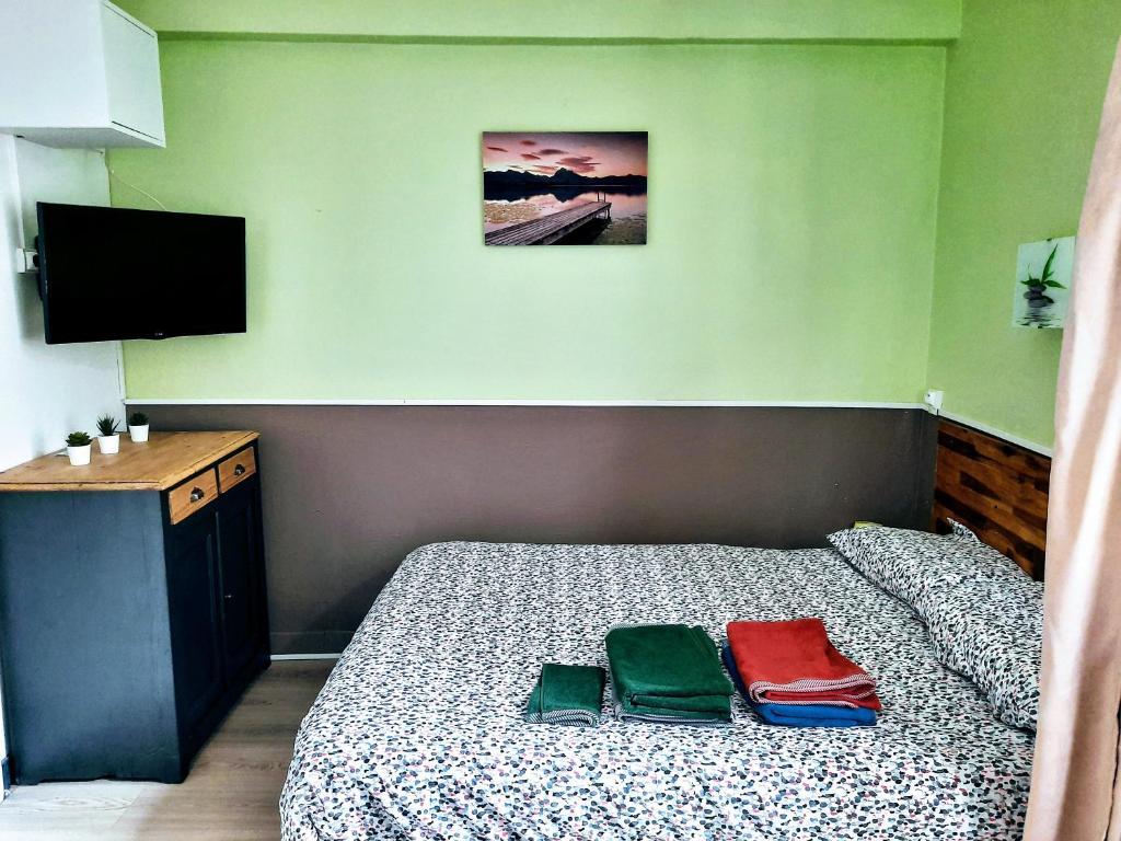 sypialnia z łóżkiem z dwoma torbami w obiekcie STUDIOS MAGUI w mieście Ax-les-Thermes