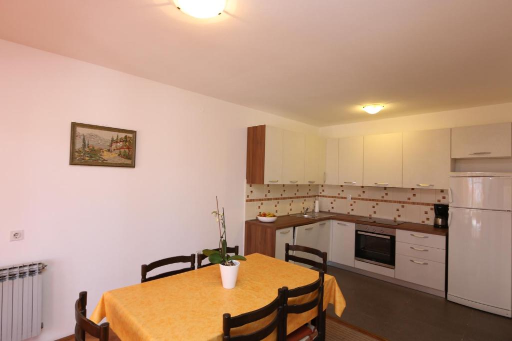 Kuchyň nebo kuchyňský kout v ubytování Apartments Grskovic G. Jesenovica
