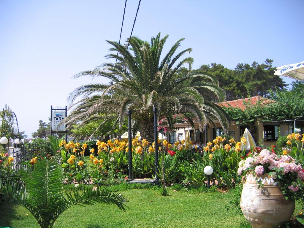 Zahrada ubytování Tara Beach Hotel