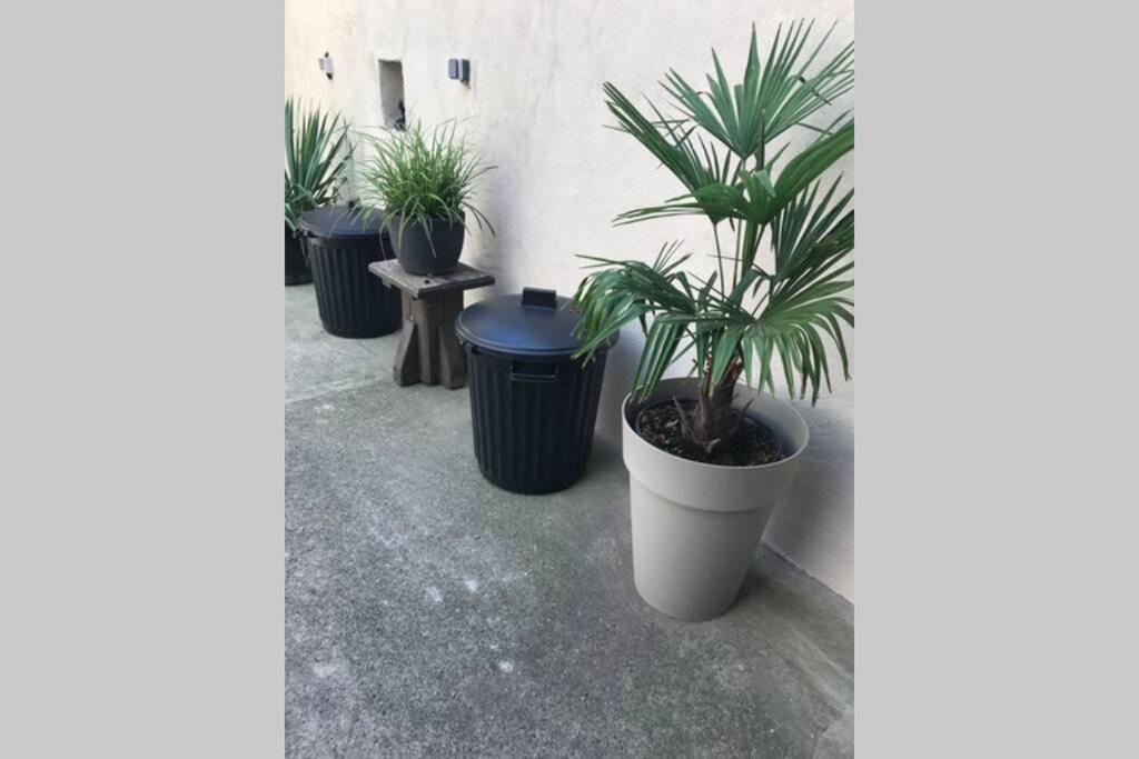 a row of potted plants sitting next to a wall at BELISAMA in Molsheim