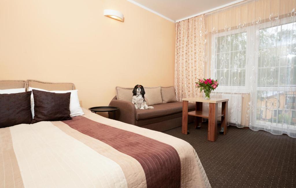 クリニツァ・モルスカにあるRizaVillaのベッドルーム1室(ベッド1台付)、ソファーに犬1匹が座っています。