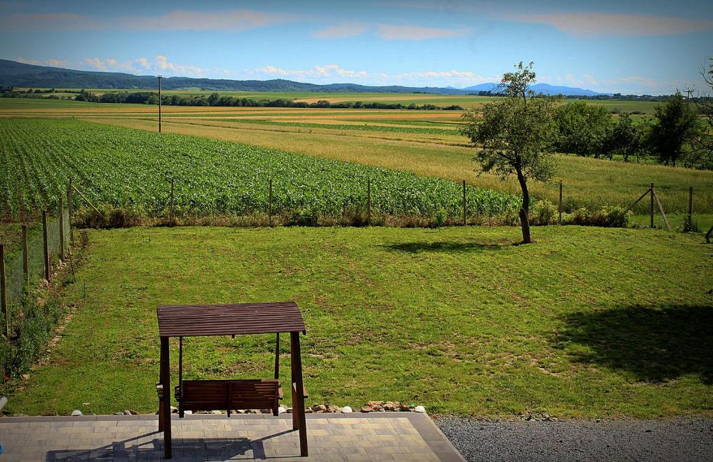 Příroda nedaleko bed and breakfast