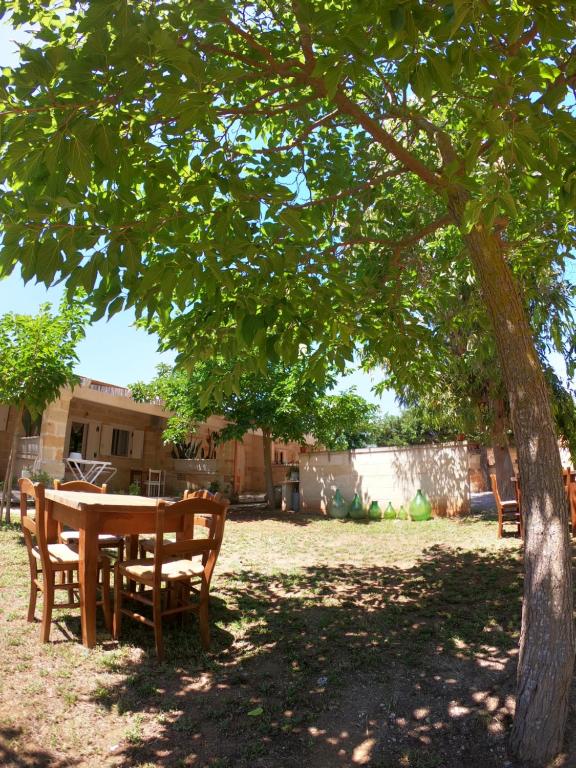 B&b nella Tenuta Nonno Carmine - foto 13