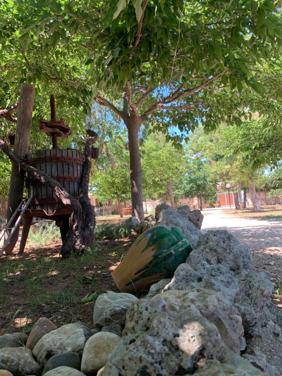 B&b nella Tenuta Nonno Carmine - foto 17