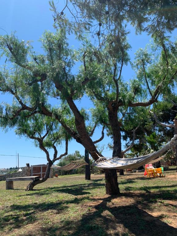 B&b nella Tenuta Nonno Carmine - foto 18