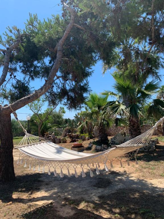 B&b nella Tenuta Nonno Carmine - foto 21