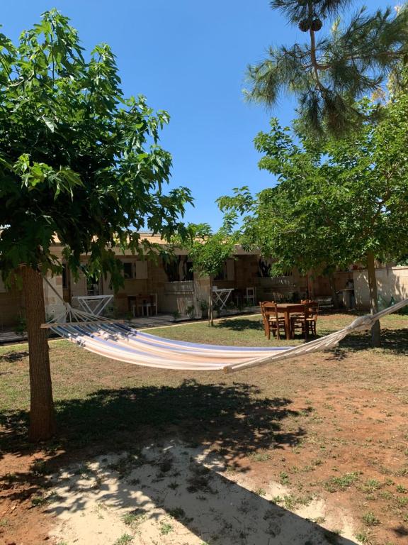 B&b nella Tenuta Nonno Carmine - foto 23