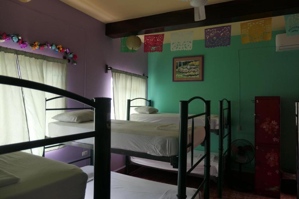 Postel nebo postele na pokoji v ubytování Casa Kraken Hostel