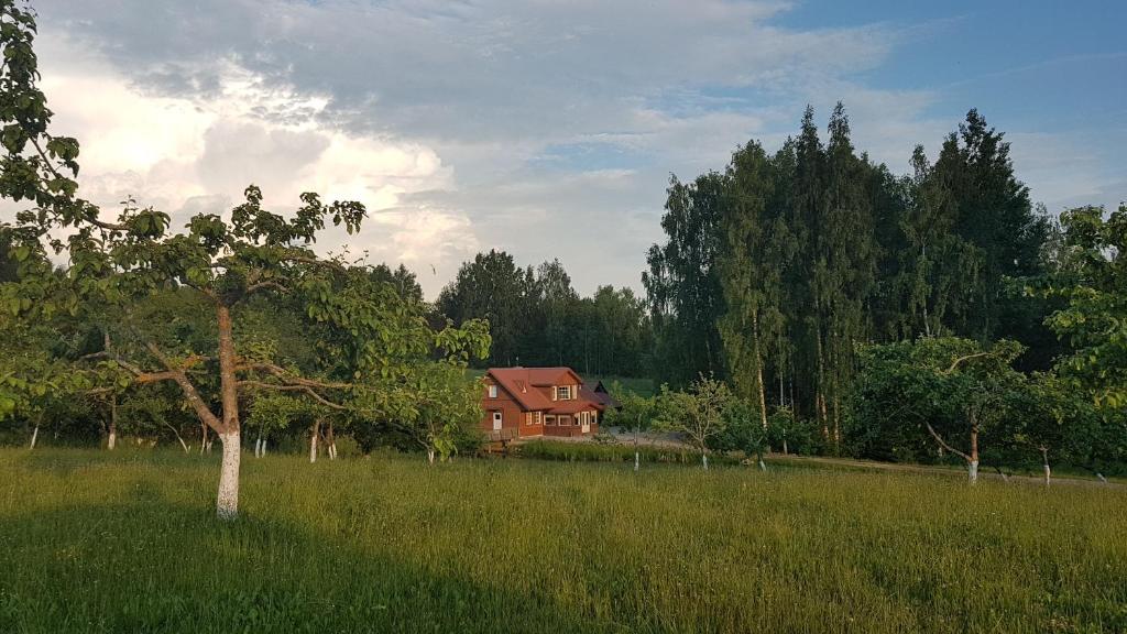 uma casa no meio de um campo com uma árvore em GRAŽINOS SODYBA em Telsiai