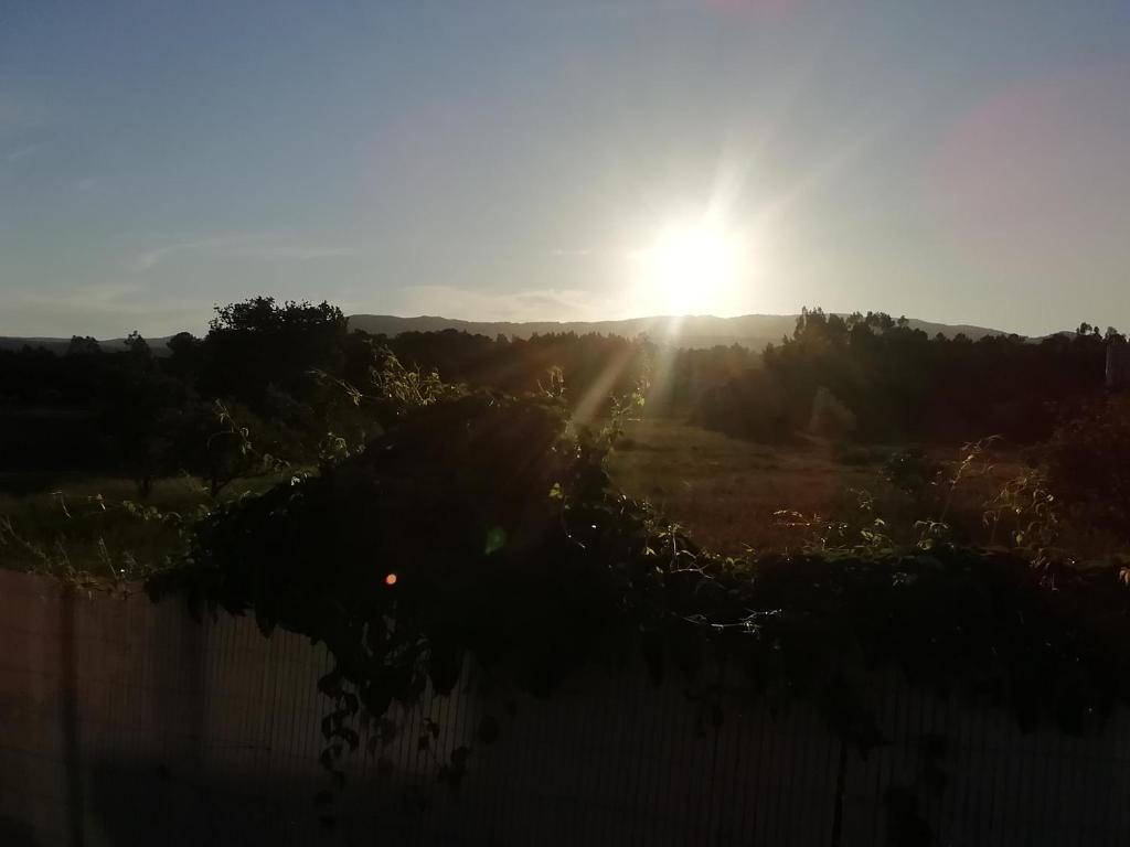 Camiño da Vieira - 5